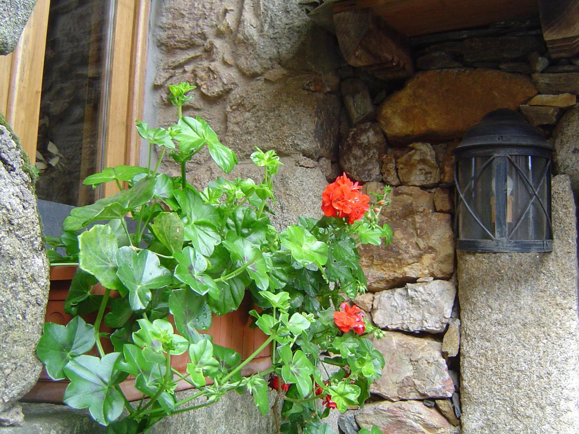 Casa Do Pinto Guest House Arouca Exterior foto