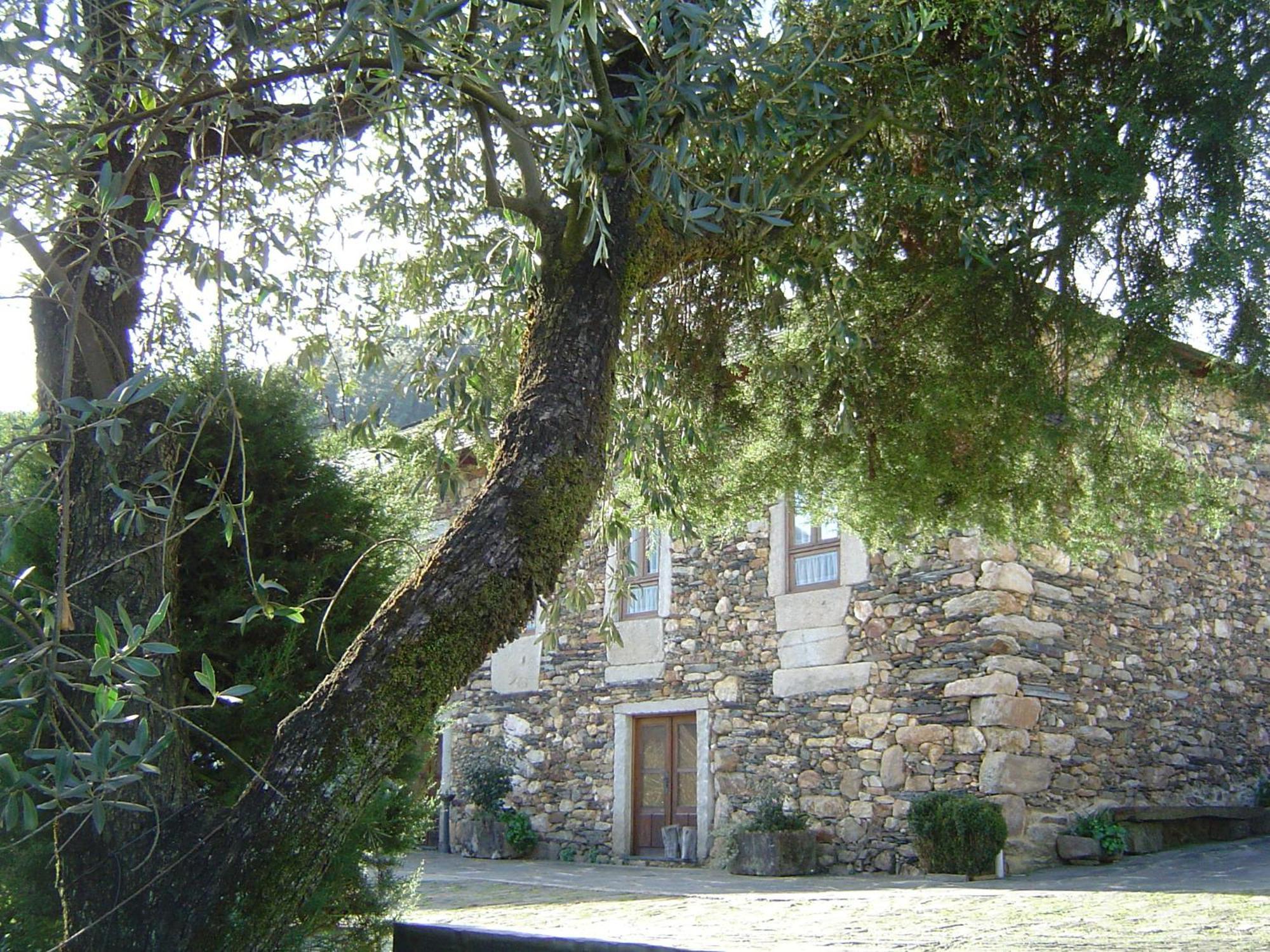 Casa Do Pinto Guest House Arouca Exterior foto